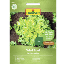 Semințe de salată Salad Bowl FloraSelf