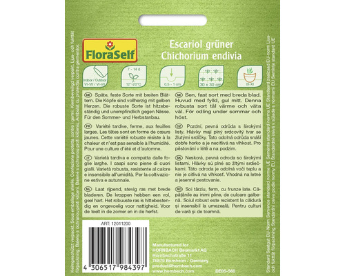 Pachet de semințe de andive Escarole green