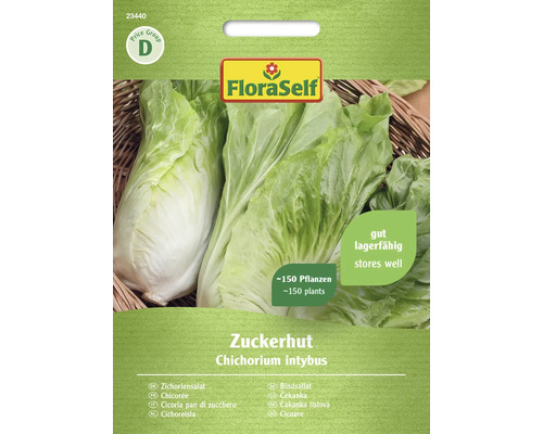Semințe de salată cicoare Zuckerhut FloraSelf