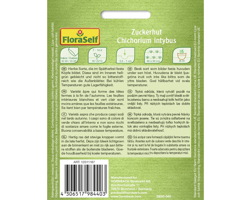Pachet de semințe de cicoare Zuckerhut Chichorium intybus