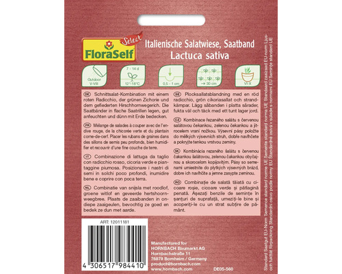 Amestec italian de salată, bandă de semințe cu radicchio, cicoare și pătlagină