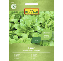 FloraSelf Salată Mâche Favor, circa cinci metri, rezistent la înflorire