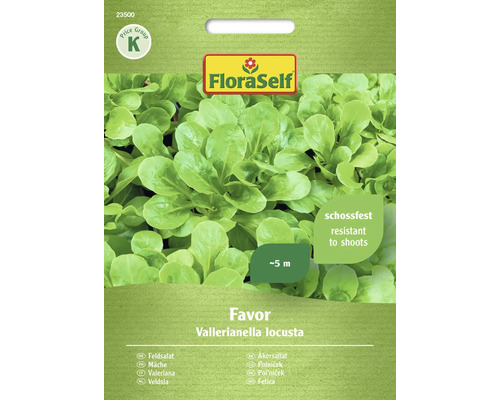 Semințe de salată verde de câmp Favor FloraSelf