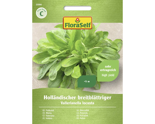 Semințe de salată lăptucă olandeză FloraSelf