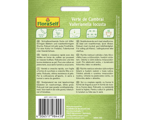 Semințe de salată verde Verte de Cambrai de la FloraSelf