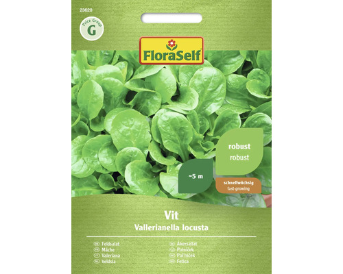 Semințe de salată verde FloraSelf