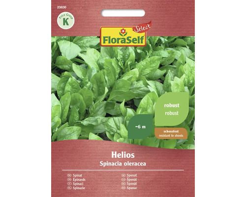 Semințe legume FloraSelf Select spanac Helios F1