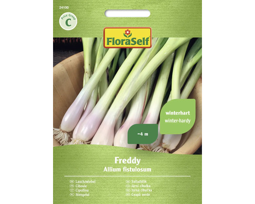 Semințe legume FloraSelf ceapă verde Freddy
