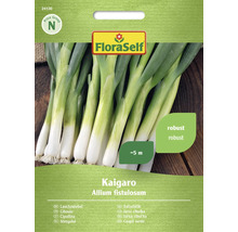 FloraSelf semințe ceapă verde Kaigaro Allium fistulosum