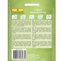 Ambalaj semințe ceapă verde Kai Garo marca FloraSelf