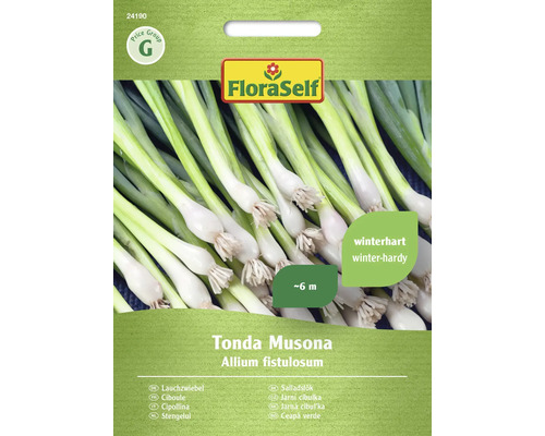 Semințe legume FloraSelf ceapă verde Tonda Musona