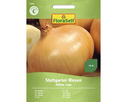 Semințe legume FloraSelf ceapă Stuttgarter Riesen