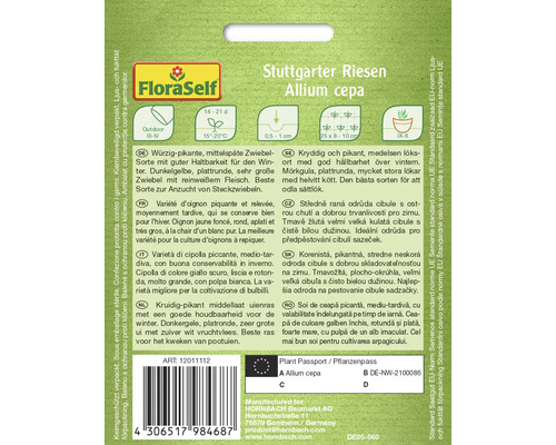 Pachet de semințe de ceapă Stuttgarter Riesen Allium cepa