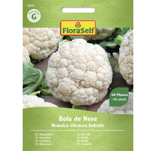Pachet de semințe de conopidă Floraself