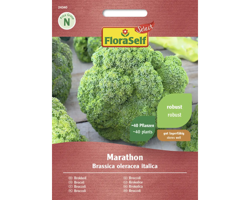 Semințe legume FloraSelf Select broccoli Marathon F1