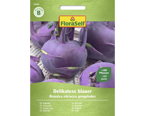 Semințe legume FloraSelf gulie mov Delikatess