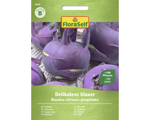 Semințe legume FloraSelf gulie mov Delikatess Semințe legume FloraSelf gulie mov Delikatess