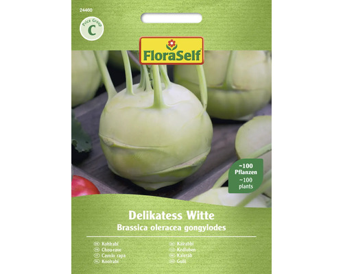 Semințe legume FloraSelf gulie albă Delikatess