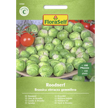 FloraSelf varză de Bruxelles Roodnerf pachet de semințe pentru aproximativ 100 de plante