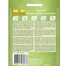 Pachet de semințe FloraSelf Roodnerf Brassica oleracea gemmifera