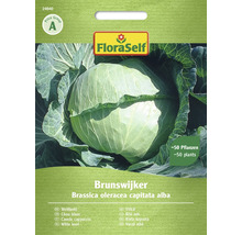 Pachet de semințe de varză albă Brunswijker de la FloraSelf