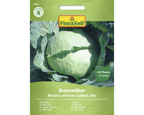 Semințe legume FloraSelf varză albă Brunswijker