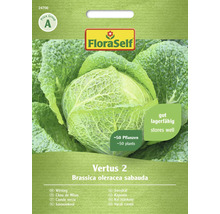 FloraSelf Varză creață Vertus 2 Semințe pentru aproximativ 50 de plante