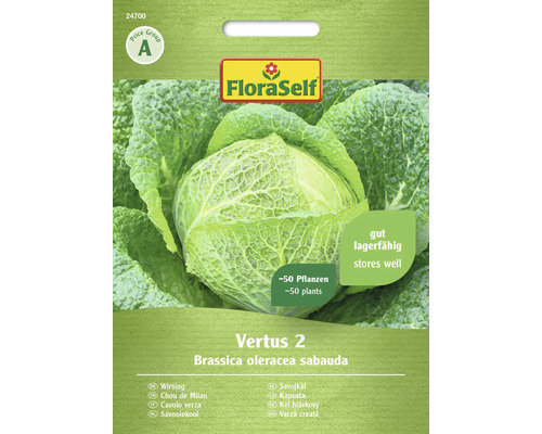 Semințe legume FloraSelf varză creață Vertus 2