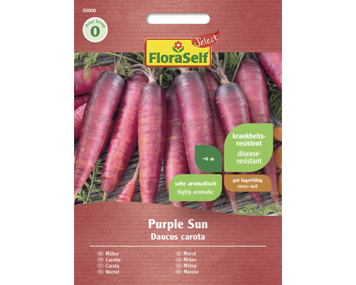 Semințe legume FloraSelf Select morcovi Violet Sun F1