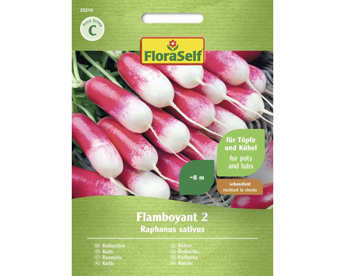 Semințe legume FloraSelf ridichi Flamboyant 2
