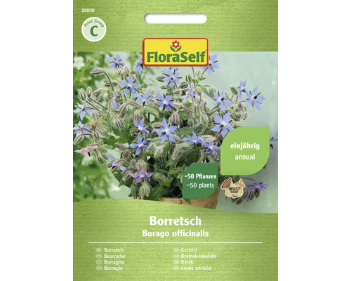 Semințe de limba mielului Boretsch FloraSelf