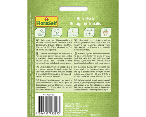 Pachet semințe borago officinalis