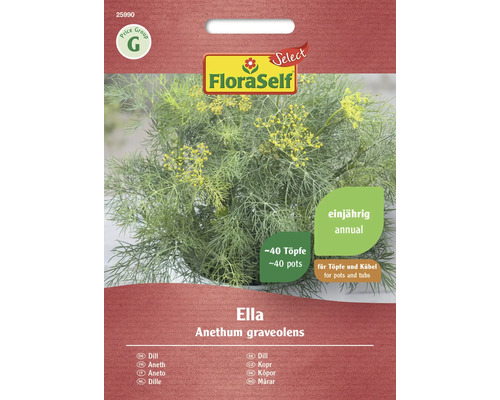 Pachet semințe FloraSelf Mărar Ella Pachet semințe FloraSelf Mărar Ella