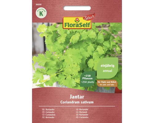 Semințe de coriandru Jantar FloraSelf Select