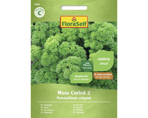 Semințe de pătrunjel Moss Curled 2 FloraSelf