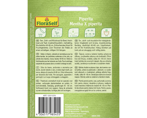 Pachet de semințe FloraSelf Mentă Piperita Mentha X piperita