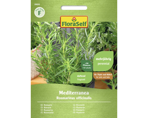 Semințe de rozmarin mediteraneean FloraSelf