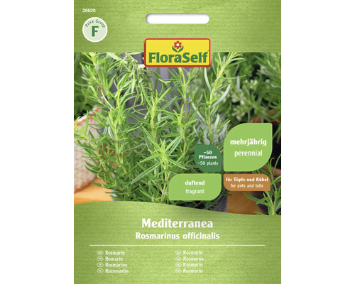 Semințe de rozmarin mediteraneean FloraSelf Semințe de rozmarin mediteraneean FloraSelf