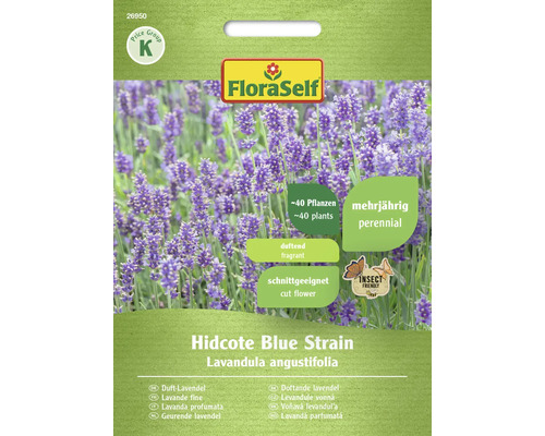 Semințe flori FloraSelf lavandă parfumată Hidcote Blue