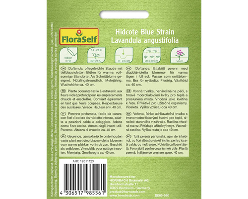 Pachet de semințe FloraSelf Hidcote Blue Strain Lavandula angustifolia