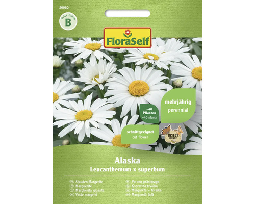 Semințe flori FloraSelf margarete perene Alaska