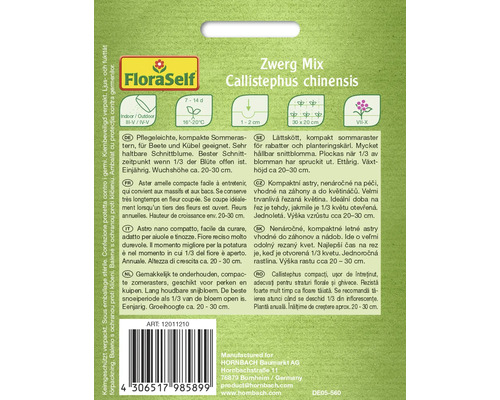 Zwerg Mix Callistephus chinensis semințe de aștri de vară pentru straturi florale și ghivece