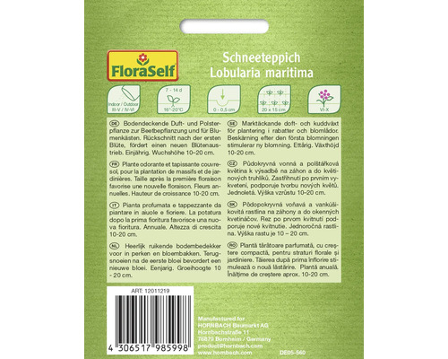 Ambalaj Floare de miere Lobularia maritima