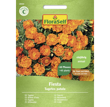 Pachet de semințe FloraSelf Tagetes Patula Fiesta pentru aproximativ 40 de plante