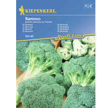 Semințe legume Kiepenkerl broccolli Ramoso Calabrese