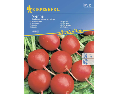 Semințe legume Kiepenkerl ridichi Vienna F1