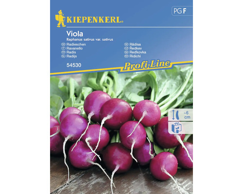 Semințe legume Kiepenkerl ridichi Viola