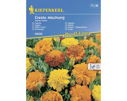 Semințe flori Kiepenkerl crăițe Cresto