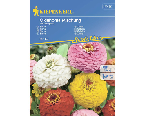 Semințe flori Kiepenkerl cârciumăreasă Oklahoma