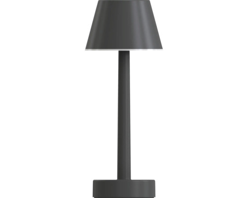 Veioză LED cu picior înalt Lucca 5W, lumină RGB+2700 K IP44, încărcare USB-C Lampă de masă metalică cu abajur conic